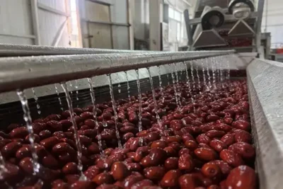 snack OEM manufacturer for dried fruit and nuts