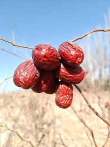 natural sweeteners market whole fruit ingredients