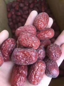 Chinese jujube varieties comparison - Junzao Huizao Dongzao for B2B sourcing