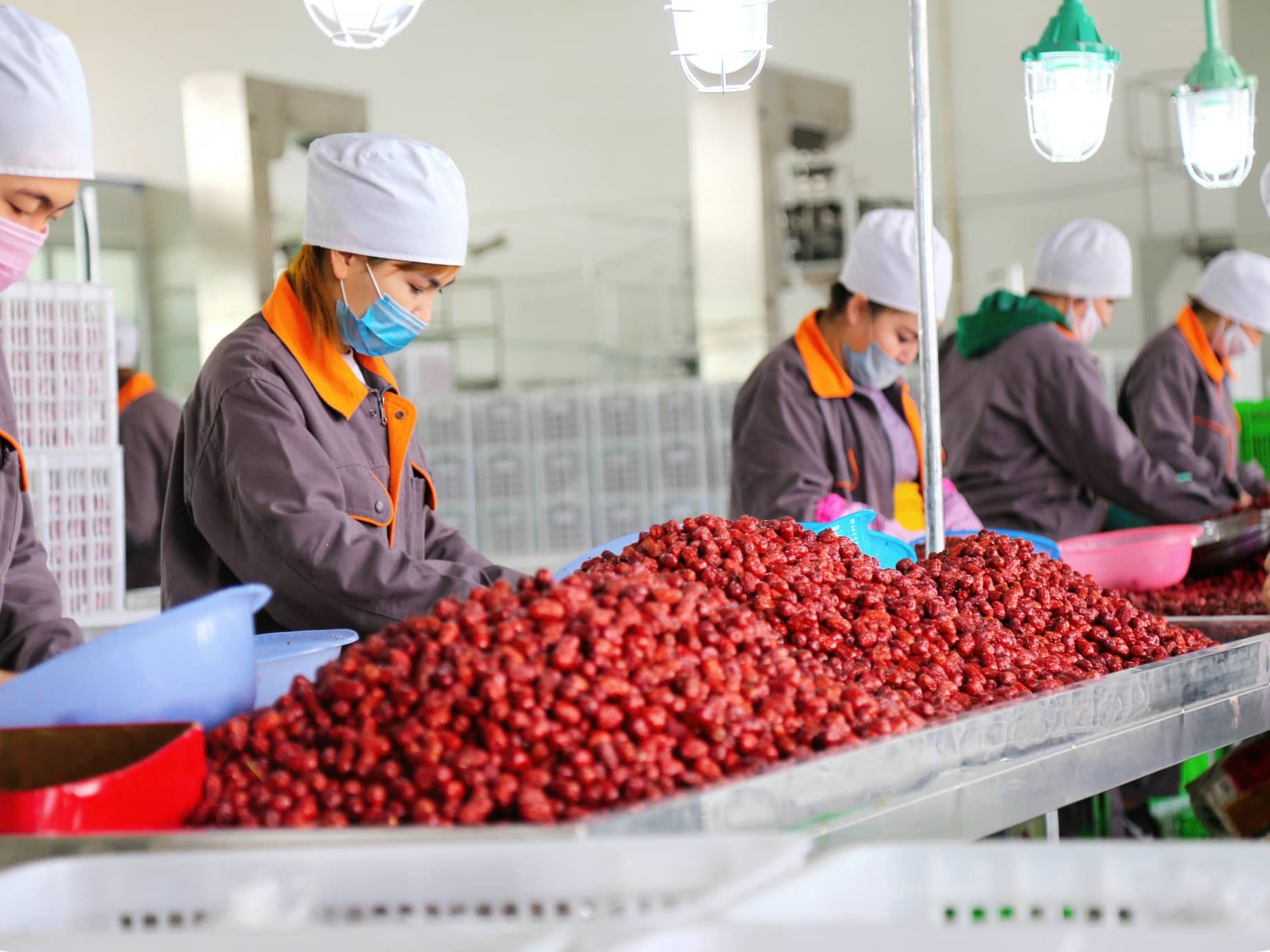 Chinese Jujube Supplier offering premium organic Red Date Ingredients