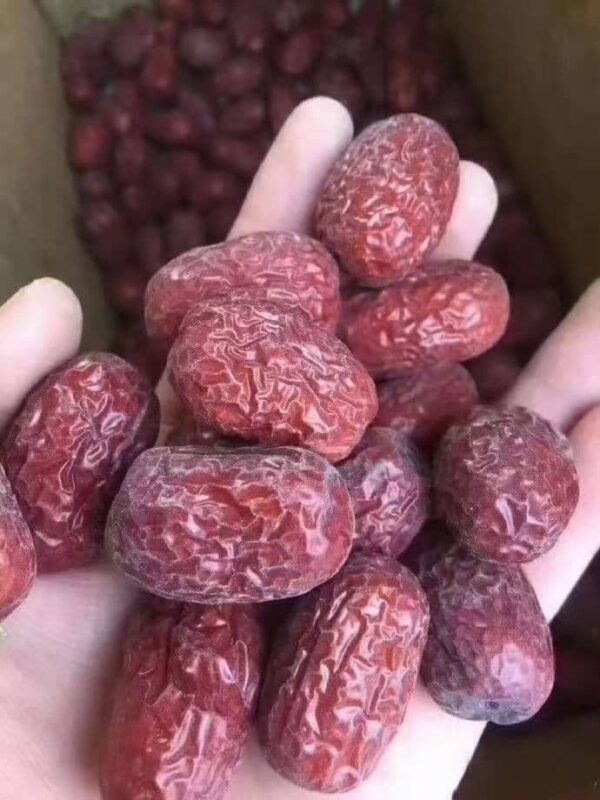 Jujube quality control: Close-up of premium red dates showing size consistency and rich color.