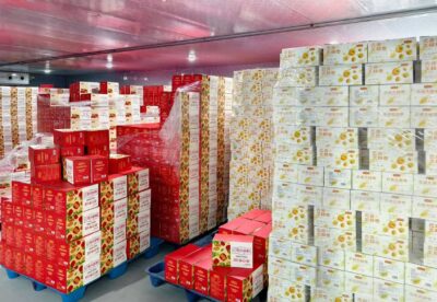 China dried fruit supplier for global healthy snacks