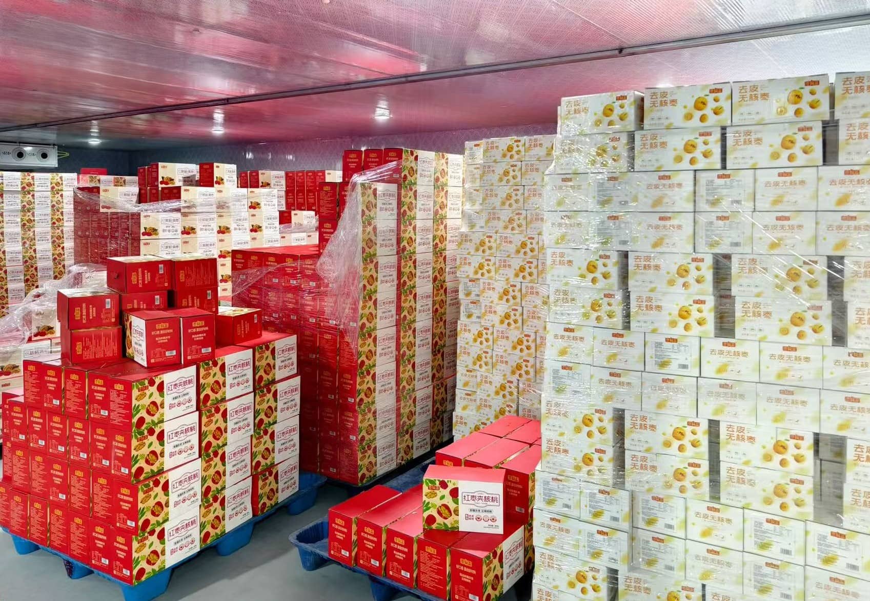 China dried fruit supplier for global healthy snacks
